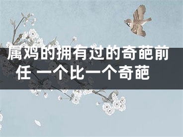 属鸡的拥有过的奇葩前任 一个比一个奇葩