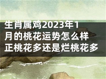 生肖属鸡2023年1月的桃花运势怎么样 正桃花多还是烂桃花多