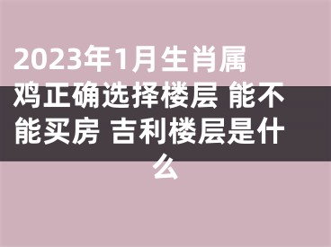 2023年1月生肖属鸡正确选择楼层 能不能买房 吉利楼层是什么