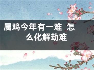 属鸡今年有一难  怎么化解劫难