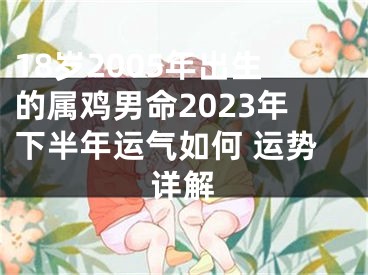 18岁2005年出生的属鸡男命2023年下半年运气如何 运势详解