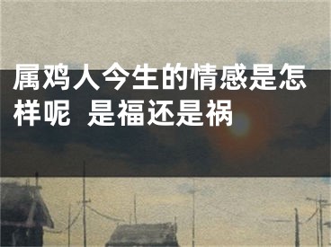 属鸡人今生的情感是怎样呢  是福还是祸  