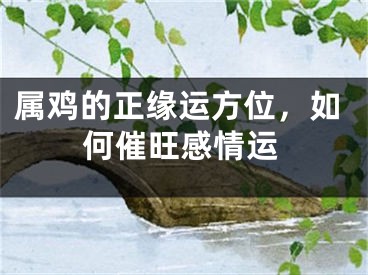 属鸡的正缘运方位，如何催旺感情运