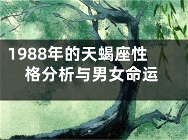 1988年的天蝎座性格分析与男女命运