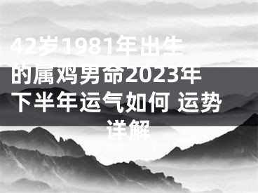 42岁1981年出生的属鸡男命2023年下半年运气如何 运势详解