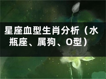 星座血型生肖分析（水瓶座、属狗、O型）