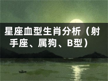 星座血型生肖分析（射手座、属狗、B型）