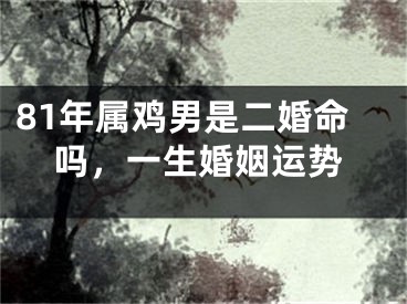 81年属鸡男是二婚命吗，一生婚姻运势