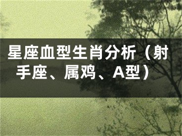 星座血型生肖分析（射手座、属鸡、A型）
