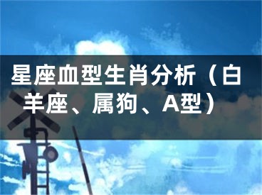 星座血型生肖分析（白羊座、属狗、A型）