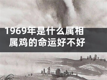 1969年是什么属相  属鸡的命运好不好