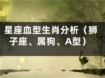 星座血型生肖分析（狮子座、属狗、A型）