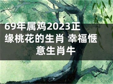 69年属鸡2023正缘桃花的生肖 幸福惬意生肖牛