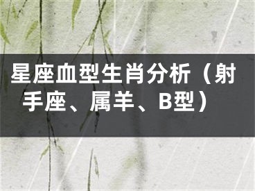 星座血型生肖分析（射手座、属羊、B型）