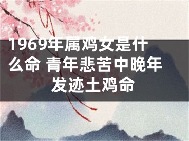 1969年属鸡女是什么命 青年悲苦中晚年发迹土鸡命