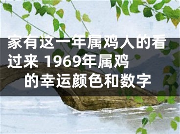 家有这一年属鸡人的看过来 1969年属鸡的幸运颜色和数字