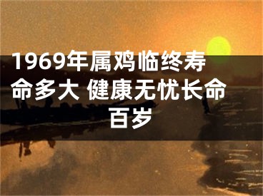 1969年属鸡临终寿命多大 健康无忧长命百岁