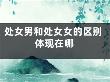 处女男和处女女的区别体现在哪