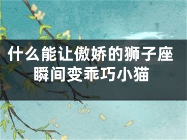 什么能让傲娇的狮子座瞬间变乖巧小猫