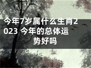 今年7岁属什么生肖2023 今年的总体运势好吗