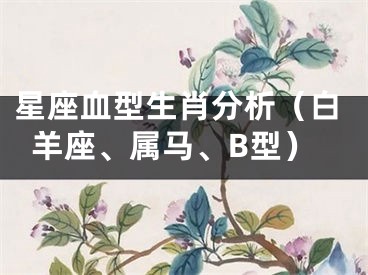 星座血型生肖分析（白羊座、属马、B型）