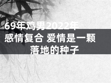 69年鸡男2022年感情复合 爱情是一颗落地的种子