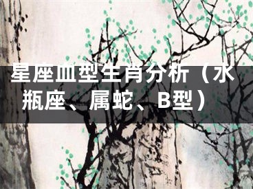 星座血型生肖分析（水瓶座、属蛇、B型）
