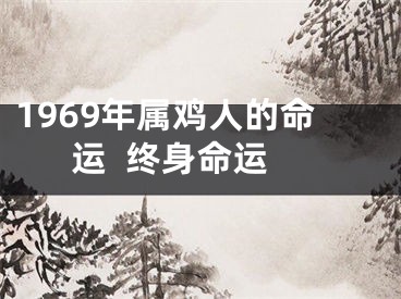 1969年属鸡人的命运  终身命运