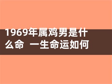 1969年属鸡男是什么命  一生命运如何