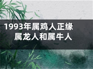 1993年属鸡人正缘 属龙人和属牛人