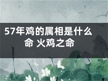 57年鸡的属相是什么命 火鸡之命