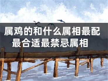 属鸡的和什么属相最配 最合适最禁忌属相