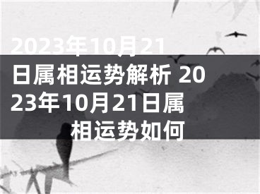 2023年10月21日属相运势解析 2023年10月21日属相运势如何