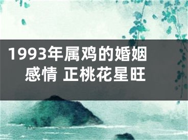 1993年属鸡的婚姻感情 正桃花星旺