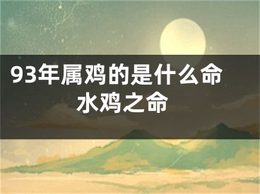 93年属鸡的是什么命 水鸡之命