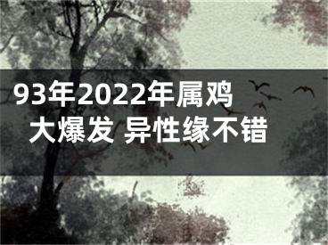 93年2022年属鸡大爆发 异性缘不错