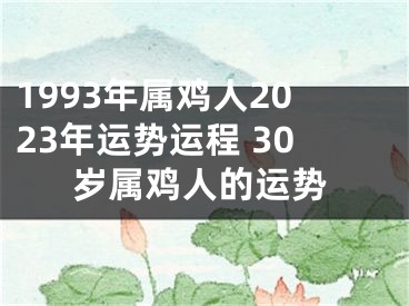 1993年属鸡人2023年运势运程 30岁属鸡人的运势