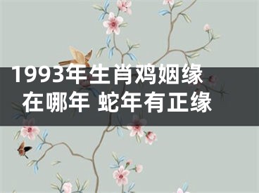 1993年生肖鸡姻缘在哪年 蛇年有正缘