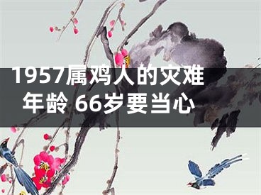 1957属鸡人的灾难年龄 66岁要当心