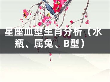 星座血型生肖分析（水瓶、属兔、B型）