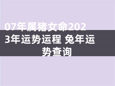 07年属猪女命2023年运势运程 兔年运势查询