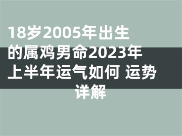 18岁2005年出生的属鸡男命2023年上半年运气如何 运势详解