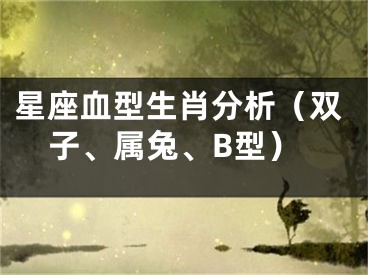 星座血型生肖分析（双子、属兔、B型）