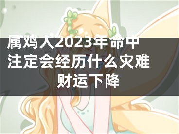 属鸡人2023年命中注定会经历什么灾难 财运下降