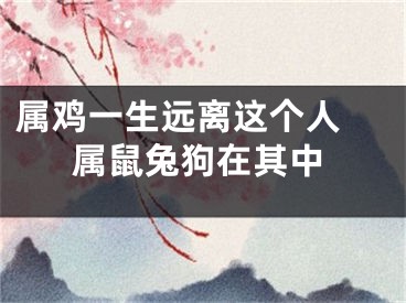 属鸡一生远离这个人 属鼠兔狗在其中