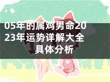 05年的属鸡男命2023年运势详解大全 具体分析