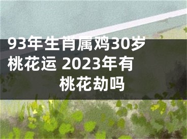 93年生肖属鸡30岁桃花运 2023年有桃花劫吗