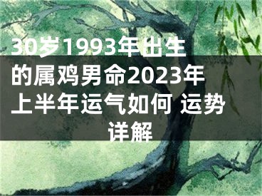 30岁1993年出生的属鸡男命2023年上半年运气如何 运势详解