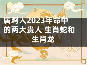 属鸡人2023年命中的两大贵人 生肖蛇和生肖龙