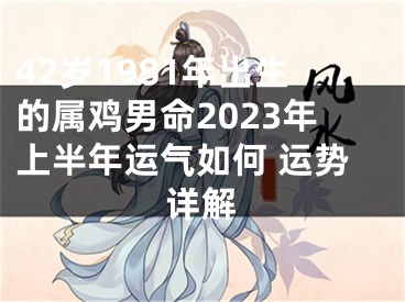 42岁1981年出生的属鸡男命2023年上半年运气如何 运势详解